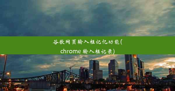 谷歌网页输入框记忆功能(chrome 输入框记录)