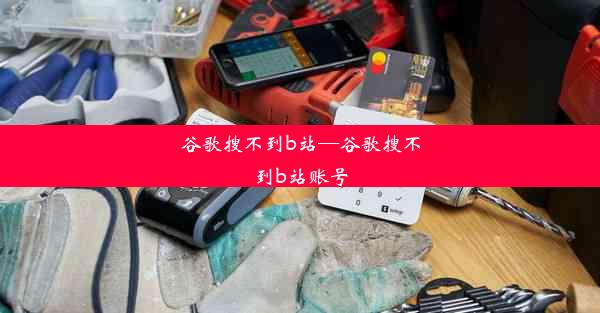 谷歌搜不到b站—谷歌搜不到b站账号