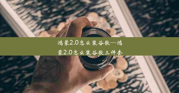 鸿蒙2.0怎么装谷歌—鸿蒙2.0怎么装谷歌三件套