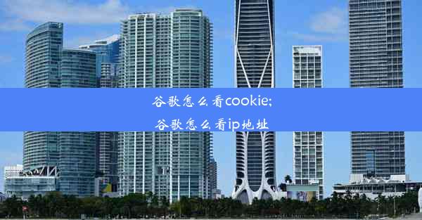 谷歌怎么看cookie;谷歌怎么看ip地址