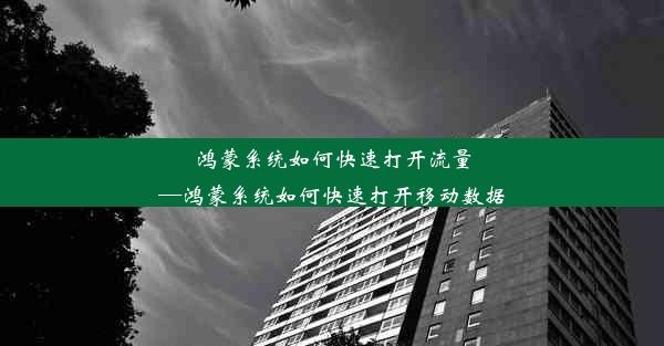 鸿蒙系统如何快速打开流量—鸿蒙系统如何快速打开移动数据