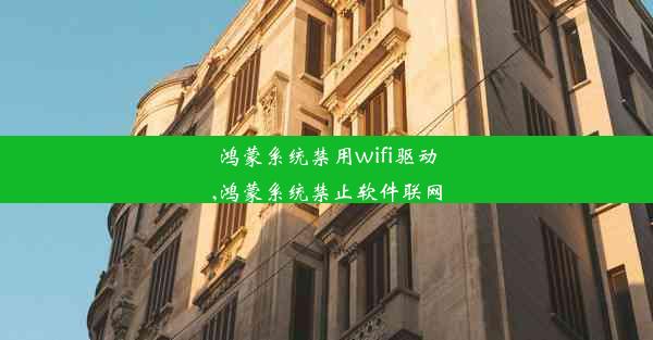 鸿蒙系统禁用wifi驱动,鸿蒙系统禁止软件联网