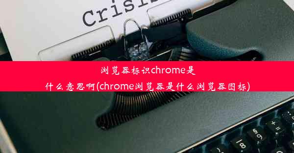 浏览器标识chrome是什么意思啊(chrome浏览器是什么浏览器图标)