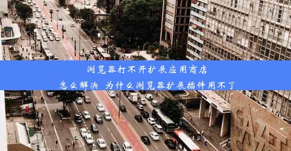 浏览器打不开扩展应用商店怎么解决_为什么浏览器扩展插件用不了