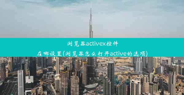 浏览器activex控件在哪设置(浏览器怎么打开active的选项)