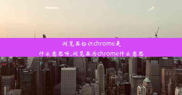 浏览器标识chrome是什么意思呀,浏览器为chrome什么意思