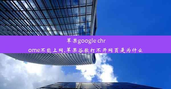 苹果google chrome不能上网,苹果谷歌打不开网页是为什么