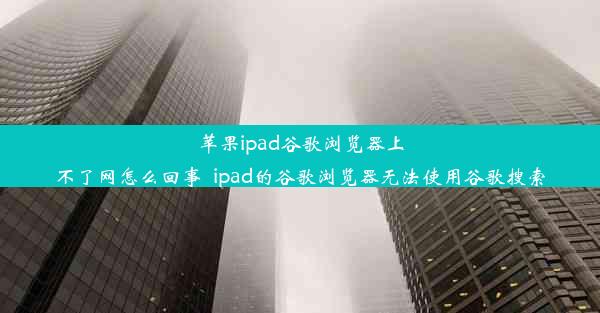 苹果ipad谷歌浏览器上不了网怎么回事_ipad的谷歌浏览器无法使用谷歌搜索