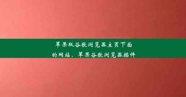 苹果版谷歌浏览器主页下面的网站、苹果谷歌浏览器插件