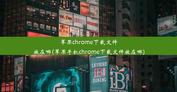 苹果chrome下载文件放在哪(苹果手机chrome下载文件放在哪)