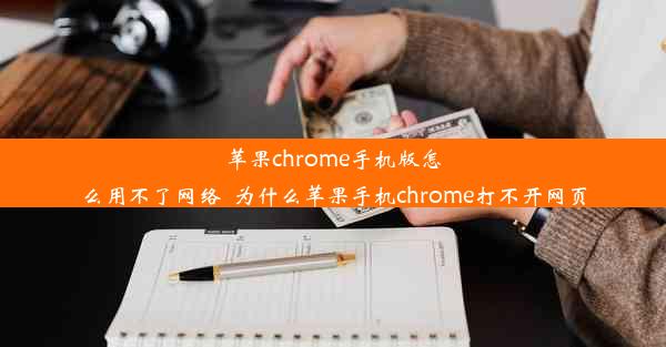 苹果chrome手机版怎么用不了网络_为什么苹果手机chrome打不开网页