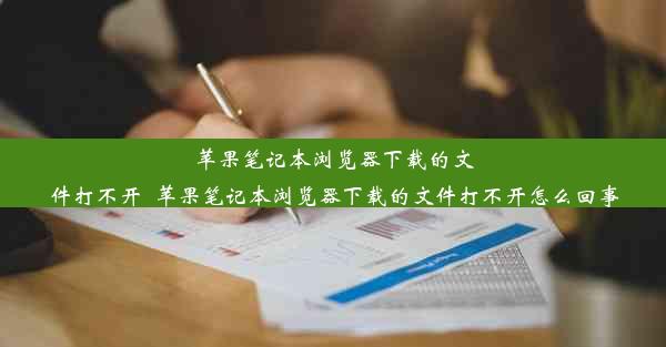 苹果笔记本浏览器下载的文件打不开_苹果笔记本浏览器下载的文件打不开怎么回事