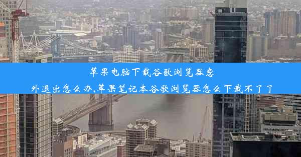 苹果电脑下载谷歌浏览器意外退出怎么办,苹果笔记本谷歌浏览器怎么下载不了了