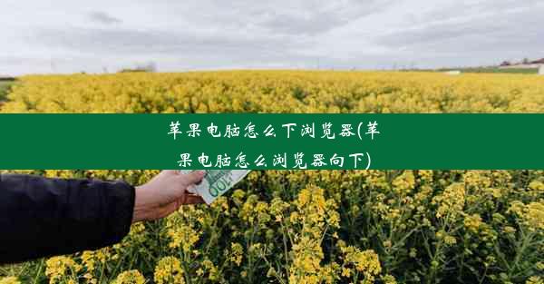 苹果电脑怎么下浏览器(苹果电脑怎么浏览器向下)