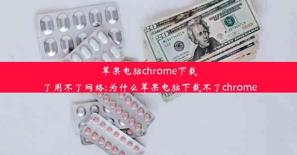 苹果电脑chrome下载了用不了网络;为什么苹果电脑下载不了chrome