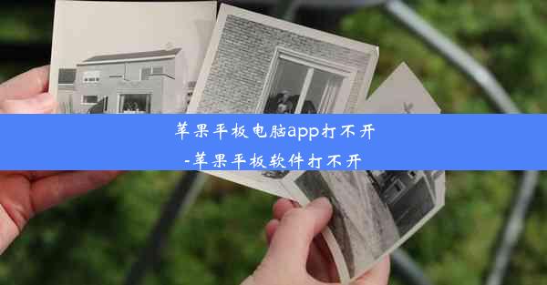 苹果平板电脑app打不开-苹果平板软件打不开