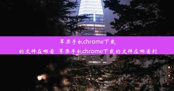 苹果手机chrome下载的文件在哪看_苹果手机chrome下载的文件在哪看到