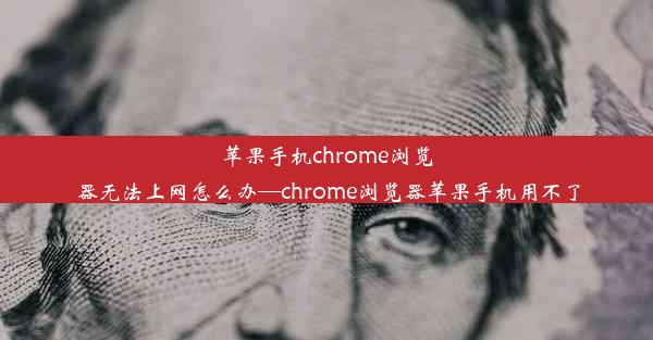 苹果手机chrome浏览器无法上网怎么办—chrome浏览器苹果手机用不了