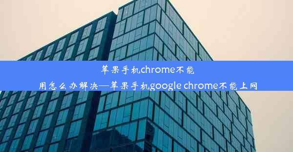 苹果手机chrome不能用怎么办解决—苹果手机google chrome不能上网