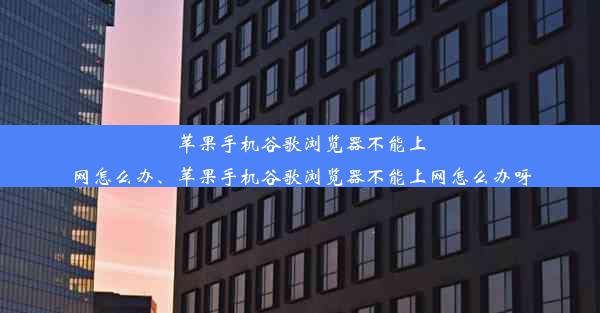 苹果手机谷歌浏览器不能上网怎么办、苹果手机谷歌浏览器不能上网怎么办呀