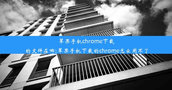 苹果手机chrome下载的文件在哪;苹果手机下载的chrome怎么用不了