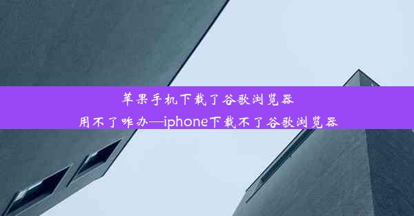 苹果手机下载了谷歌浏览器用不了咋办—iphone下载不了谷歌浏览器