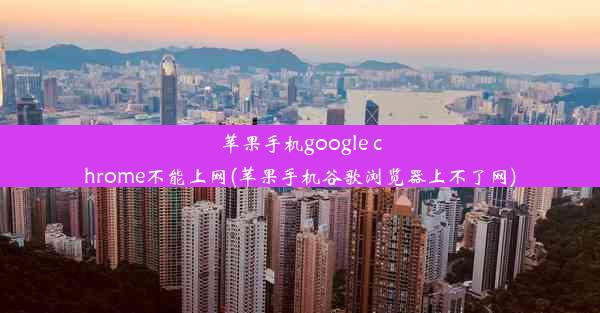 苹果手机google chrome不能上网(苹果手机谷歌浏览器上不了网)