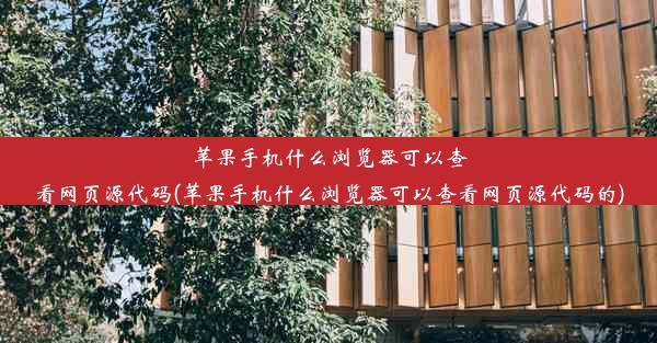 苹果手机什么浏览器可以查看网页源代码(苹果手机什么浏览器可以查看网页源代码的)