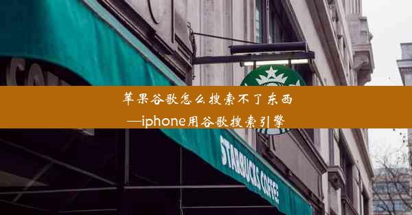 苹果谷歌怎么搜索不了东西—iphone用谷歌搜索引擎