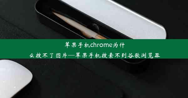 苹果手机chrome为什么搜不了图片—苹果手机搜索不到谷歌浏览器