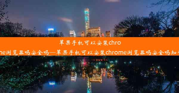 苹果手机可以安装chrome浏览器吗安全吗—苹果手机可以安装chrome浏览器吗安全吗知乎