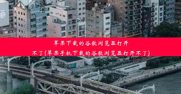 苹果下载的谷歌浏览器打开不了(苹果手机下载的谷歌浏览器打开不了)