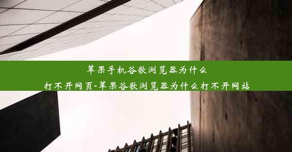 苹果手机谷歌浏览器为什么打不开网页-苹果谷歌浏览器为什么打不开网站