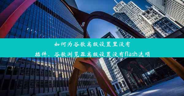 如何为谷歌高级设置里没有插件、谷歌浏览器高级设置没有flash选项