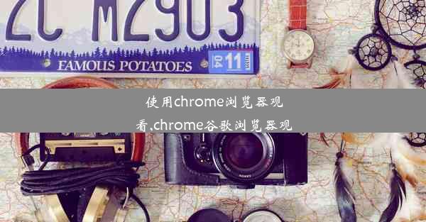 使用chrome浏览器观看,chrome谷歌浏览器观