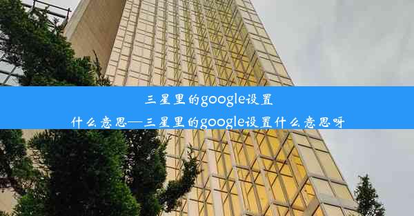 三星里的google设置什么意思—三星里的google设置什么意思呀