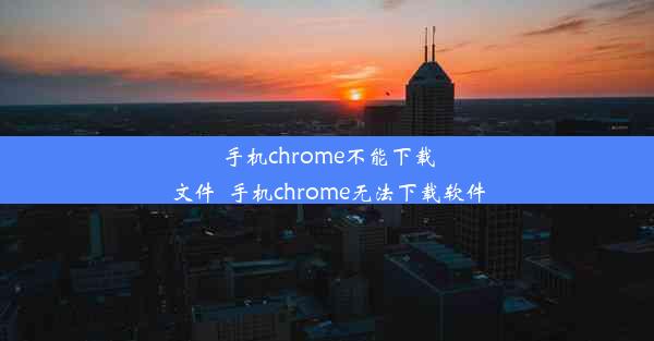 手机chrome不能下载文件_手机chrome无法下载软件