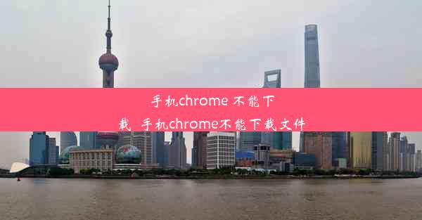 手机chrome 不能下载_手机chrome不能下载文件