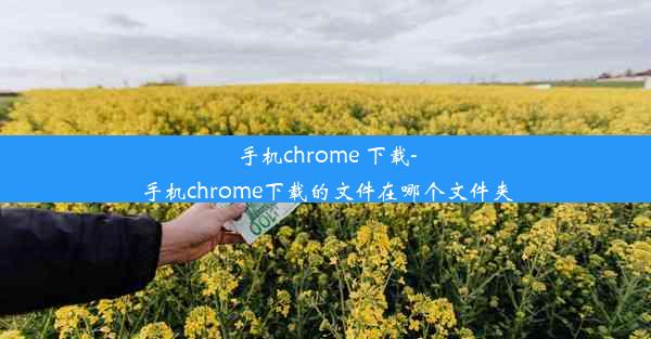 手机chrome 下载-手机chrome下载的文件在哪个文件夹