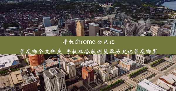 手机chrome 历史记录在哪个文件夹_手机版谷歌浏览器历史记录在哪里