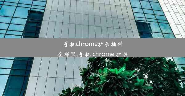 手机chrome扩展插件在哪里,手机 chrome 扩展