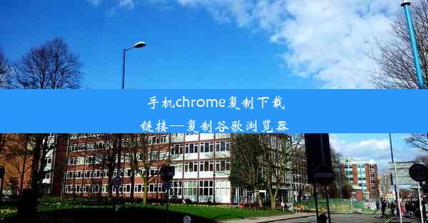 手机chrome复制下载链接—复制谷歌浏览器