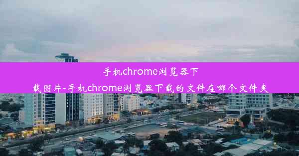 手机chrome浏览器下载图片-手机chrome浏览器下载的文件在哪个文件夹