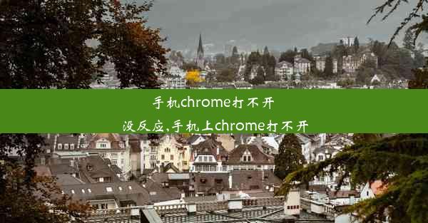 手机chrome打不开 没反应,手机上chrome打不开