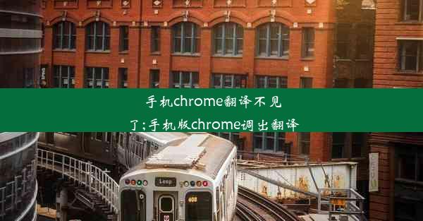 手机chrome翻译不见了;手机版chrome调出翻译