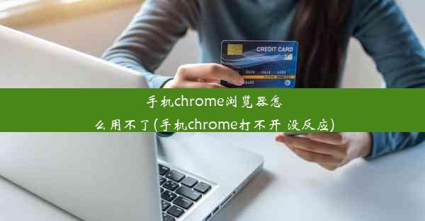 手机chrome浏览器怎么用不了(手机chrome打不开 没反应)