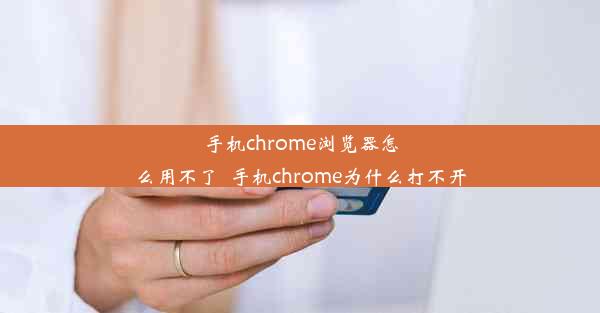 手机chrome浏览器怎么用不了_手机chrome为什么打不开