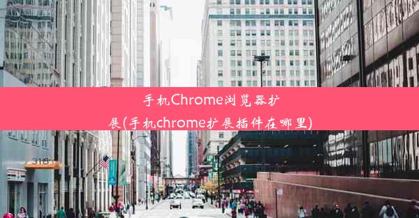 手机Chrome浏览器扩展(手机chrome扩展插件在哪里)