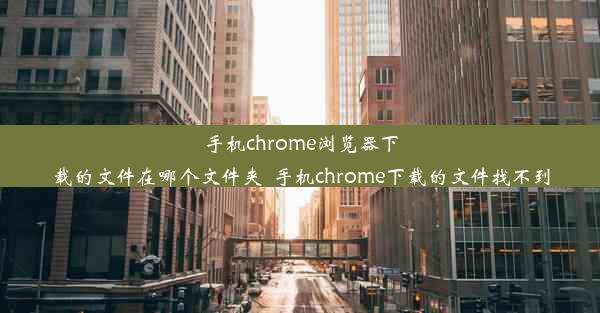 手机chrome浏览器下载的文件在哪个文件夹_手机chrome下载的文件找不到