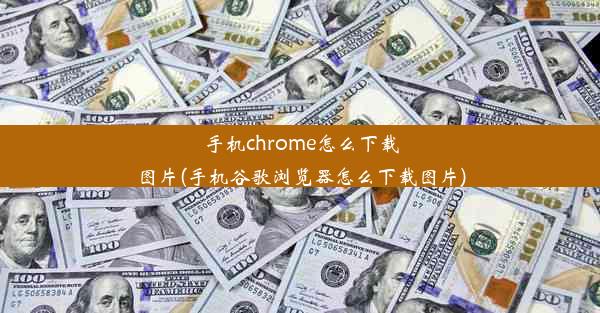 手机chrome怎么下载图片(手机谷歌浏览器怎么下载图片)